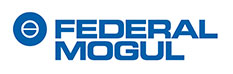 federal mogul